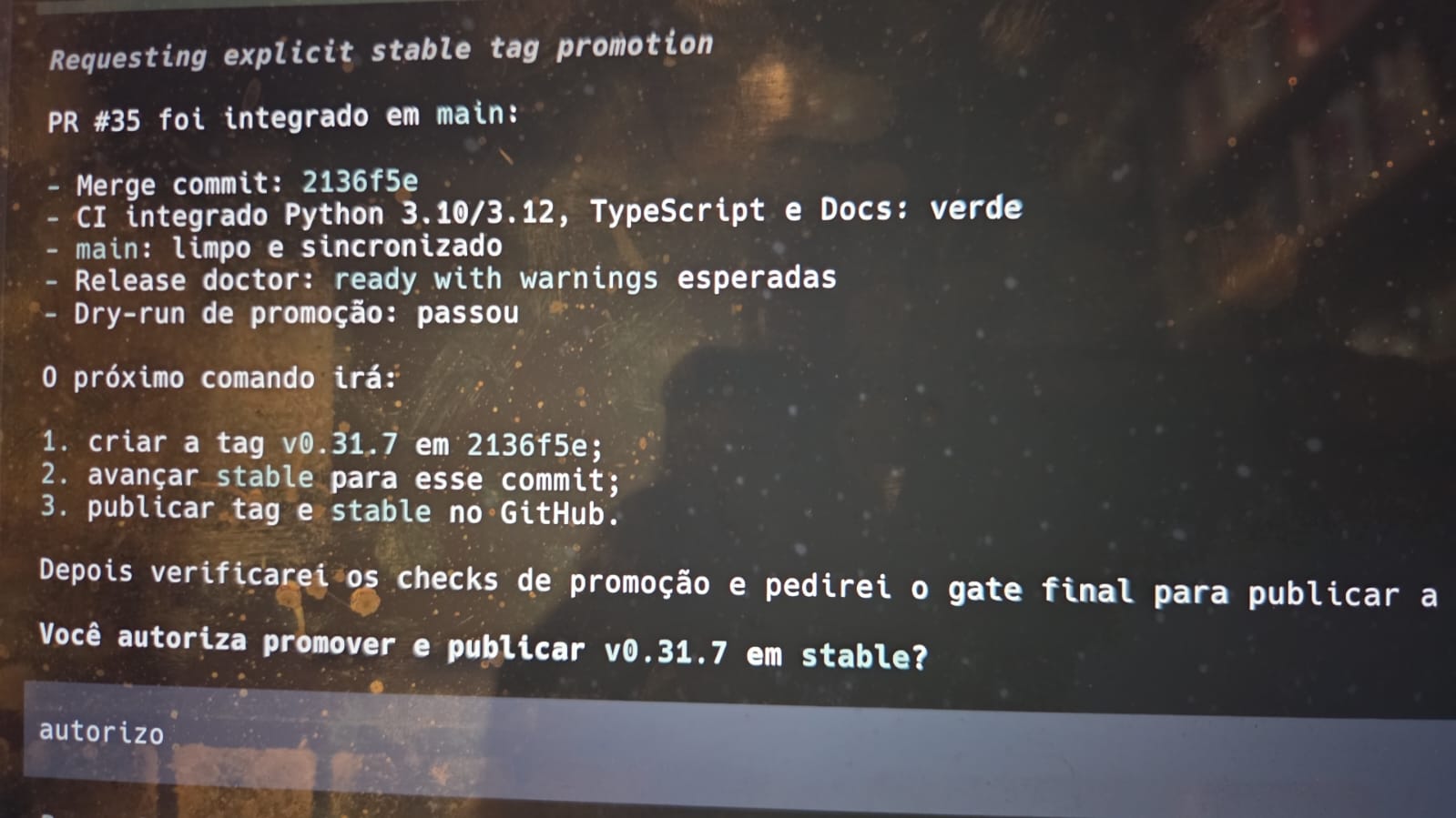 Fotografia de tela mostrando a autorização para promover e publicar a release v0.31.7 em stable.