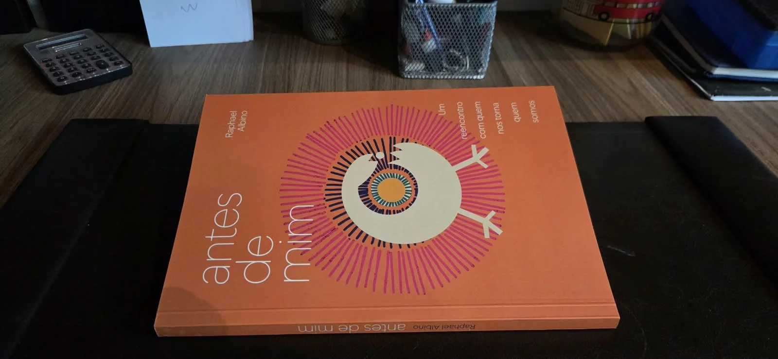 Imagem horizontal do livro Antes de Mim.